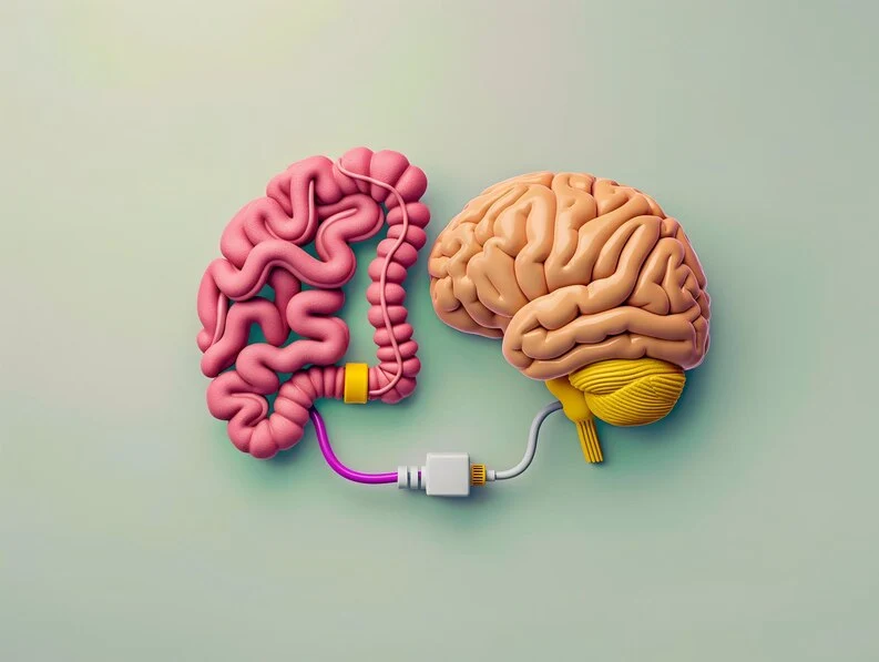 Gut-Brain Connection