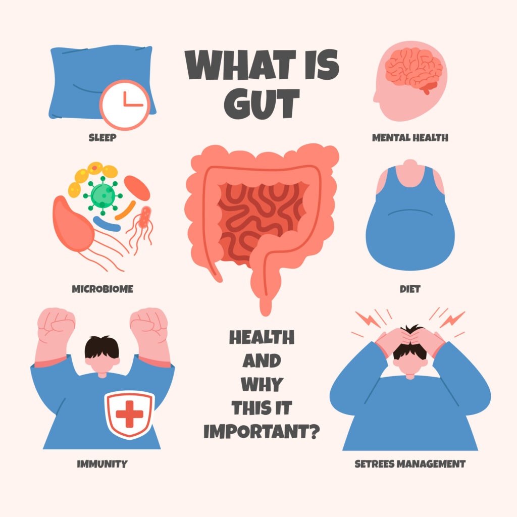 Gut Health and Overall Wellness