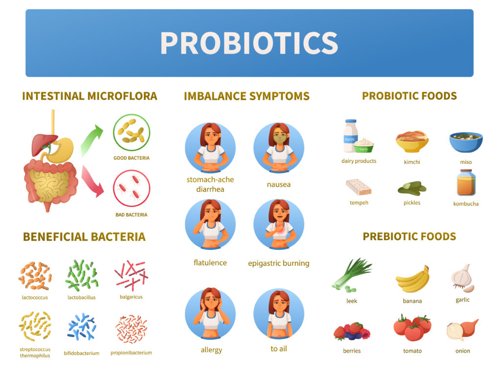 Probiotics in Digestive Health Separating Myths from Facts.