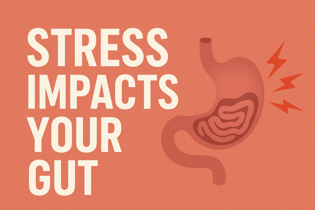 Stress Impacts Your Gut